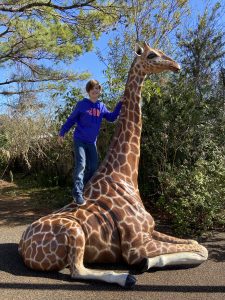 Author's son on a giraffe statue